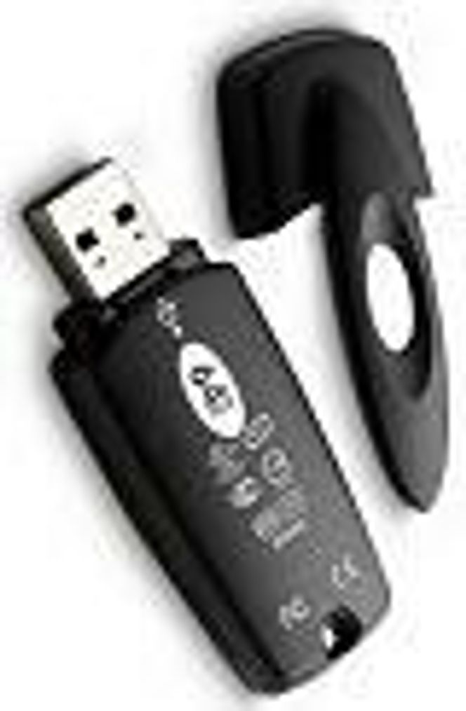 Minnepinne på 64 megabyte fra Dell.