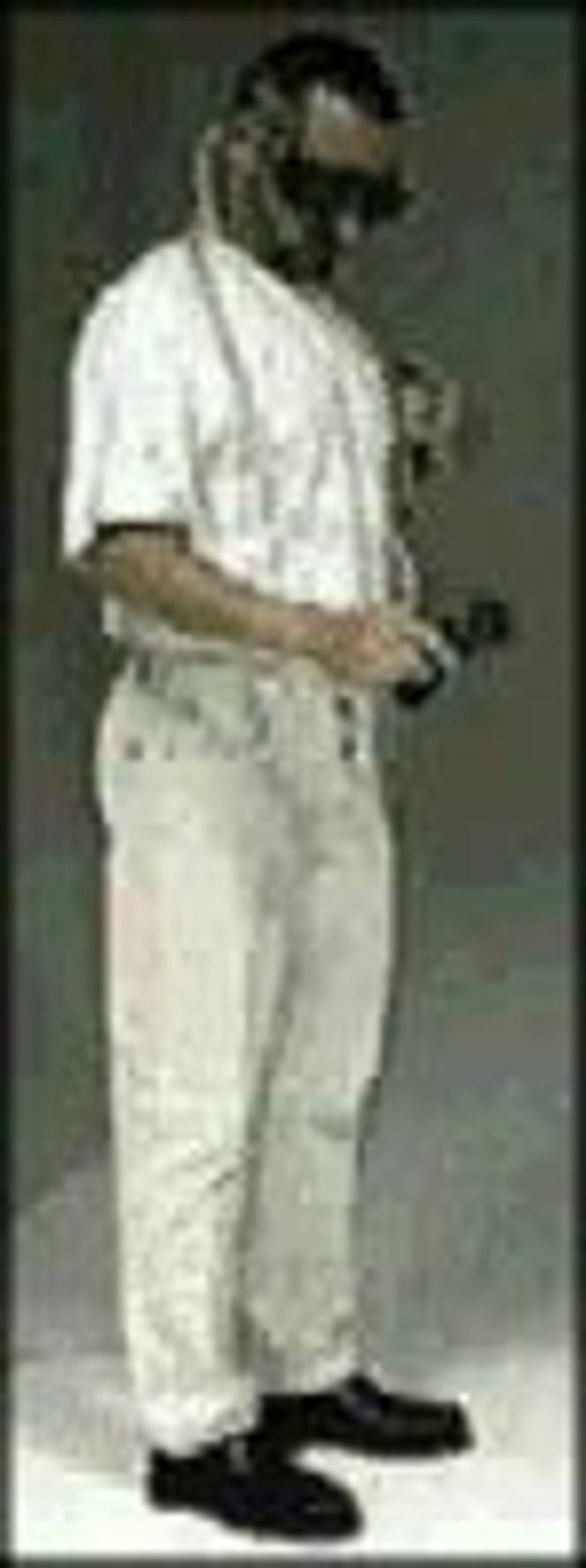 Cyberstage Manipulator.