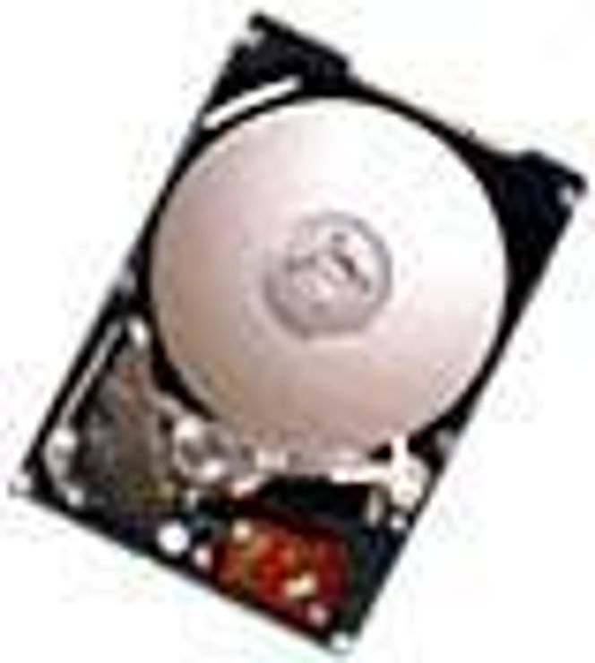 Harddisken IBM Travelstar 48GH.
