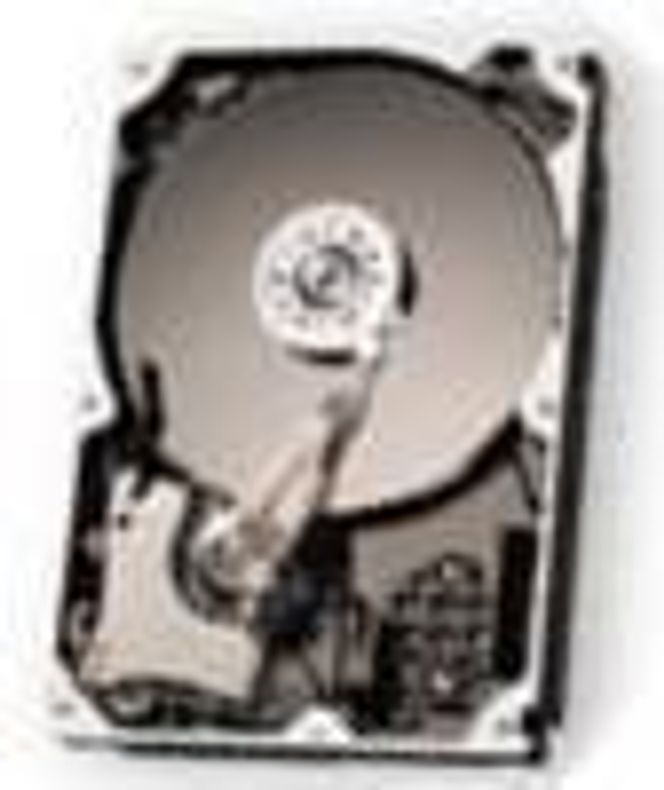 Maxtor DiamondMax D540X.