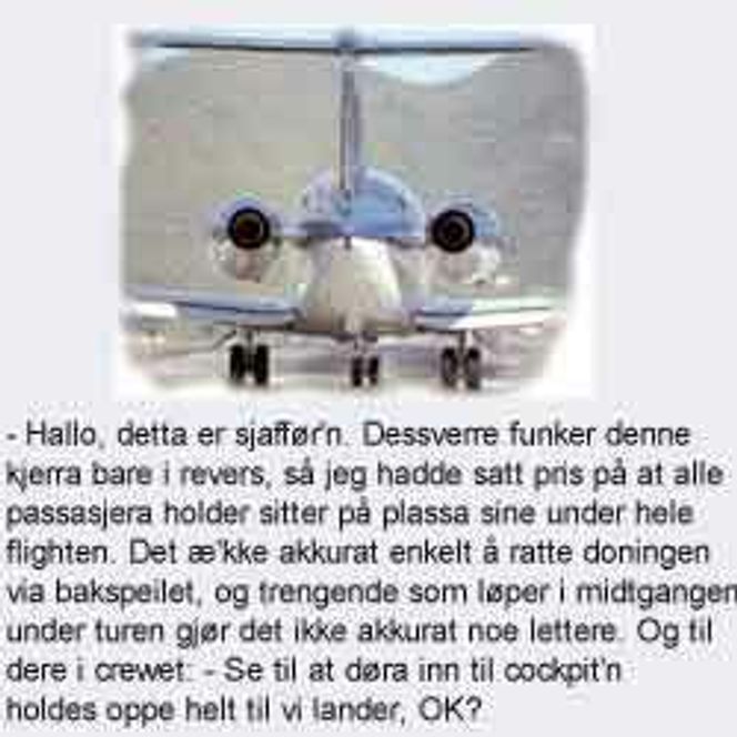 Low Budget Airlines - et hypotetisk selskap.