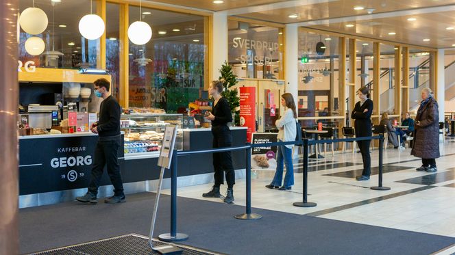 I en kaffekø med to meters mellom hver vil en mutasjon som kan smitte over større avstander, ha en stor fordel. Foto: Jarli & Jordan, Universitetet i Oslo