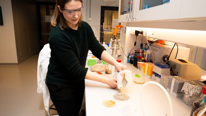 Bakteriebasert betong består av sand, finmalt kalkstein og to spesielle bakterier, samt vann, urinstoff og næring til bakteriene. Her er Simone Balzer Le i laben. Foto: Håvard Egge, Gemini