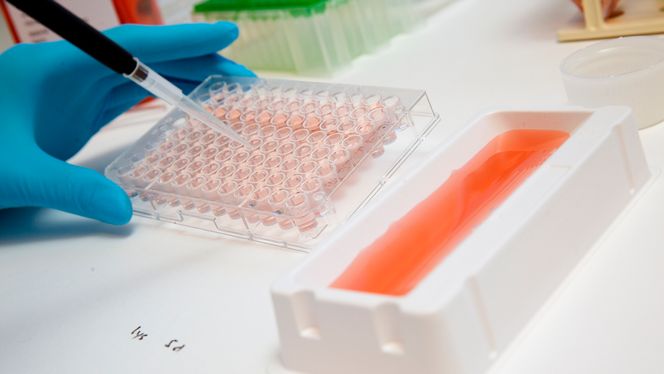 − Vi kunne laget Vaccibody-vaksinen både som protein og RNA, men som DNA er produksjonen enklere, og produktet mer stabilt. Vi har klart å lage vaksine for hver eneste pasient vi har prøvd å lage vaksine for. Det samme er det ikke mange av de som bruker RNA som kan si, sier Fredriksen. Foto:  Sverre Chr. Jarild