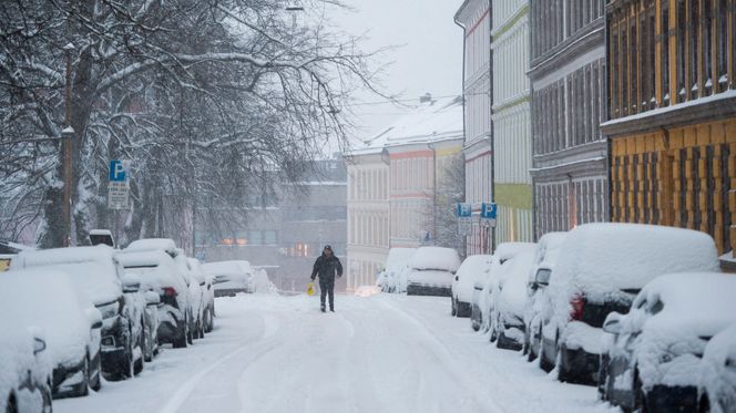 Snøfall i Oslo torsdag morgen. Foto: Fredrik Varfjell/NTB