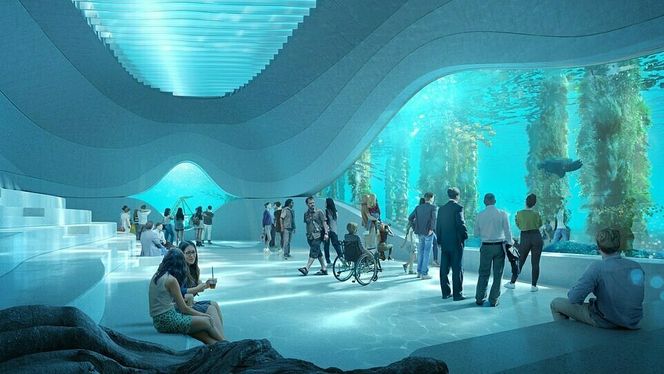 Åtte meter under havoverflaten kan menneskene følge med på fiskene under brygga i Busselton. Og visa versa. Illustrasjon:  Baca Architects