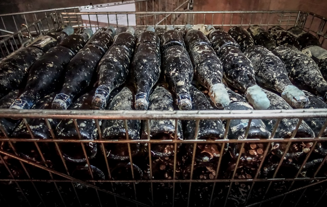 Flaskene selges uten etikett, med et naturlig belegg av havsalt utenpå. Foto:  Leclerc Briant