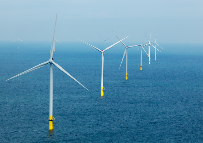 Ørsted drifter noen av verdens største havvindparker her fra Borssele vindpark i Nederland. Foto:  Ørsted/Sky Pictures