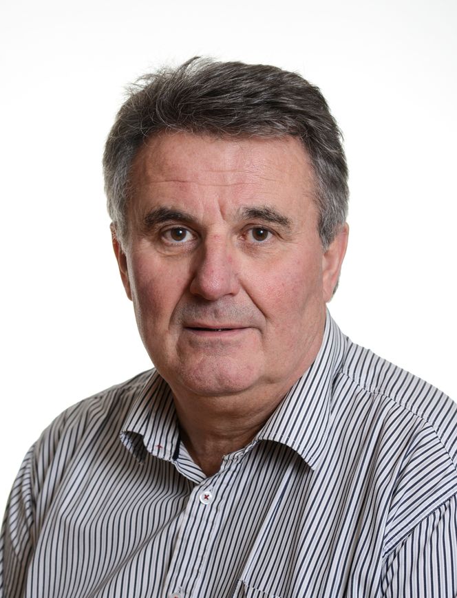 Jan S. Rønning er geofysiker ved NGU/NTNU Foto:  GEIR OTTO JOHANSEN