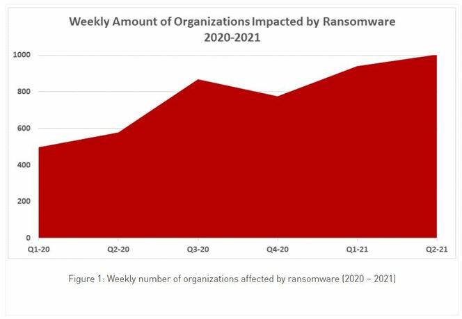 Grafen viser økningen i antallet organisasjoner som utsettes for utpressingsvirus ukentlig. Foto: Check Point Research