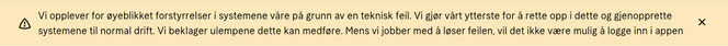 Skjermbilde av feilmelding på Klarnas norske nettside torsdag formiddag. Skjermbilde: Digi.no
