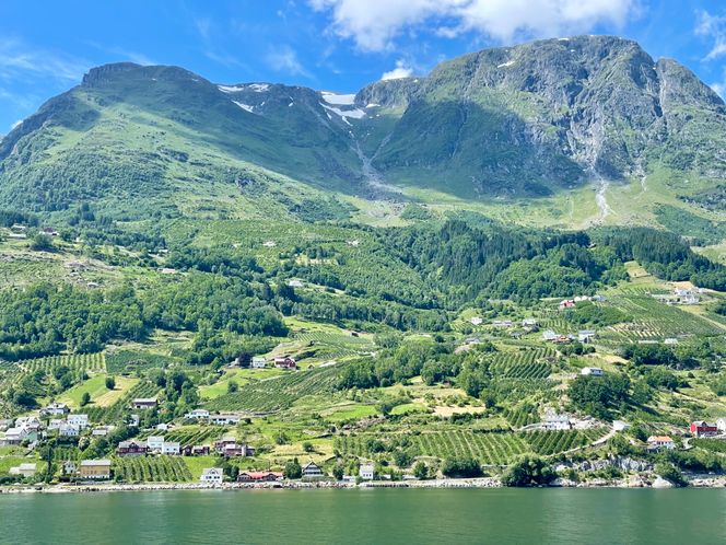 Eplegårdene ligger tett i tett langs Sørfjorden. Foto: Svein-Erik Hole