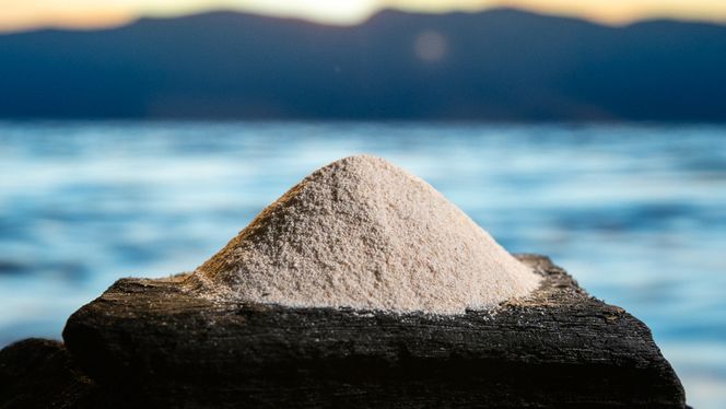 Nutrishell samler inn restråstoff fra krabbeskjell og gjør det om til krabbemel. De har mange ideer til hva dette råstoffet kan brukes til, alt fra dyrefor og humane proteinkilder til farmasøytiske produkter. Foto: Kystmiljø AS