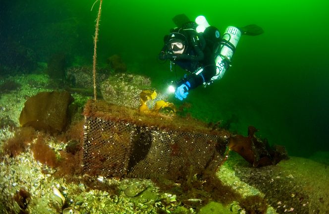FNs miljøprogram anslår at 640.000 tonn fiskeredskap mistes eller dumpes årlig. Foto:  Fredrik Myhre, WWF