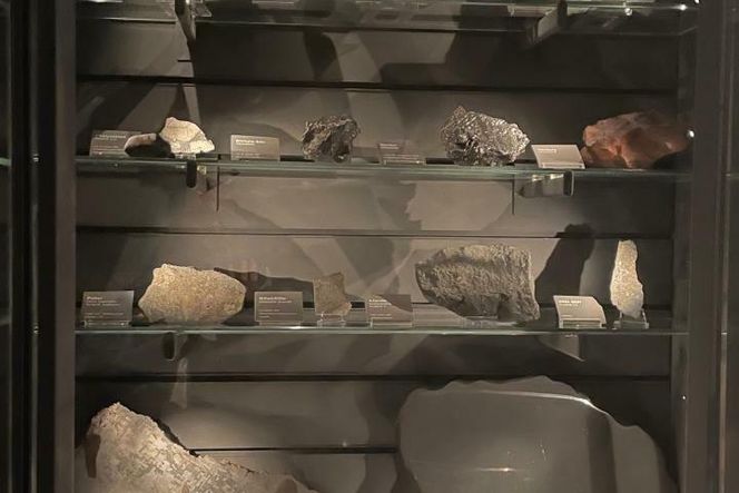 Her er et utvalg av meteorittene som er stilt ut på Naturhistorisk museum. Mange av dem er polert, kuttet eller kjemisk behandlet slik at du ser det spesielle mønsteret av jern og nikkel. Dette mønsteret dannes bare inne i svært store og tunge ting, som planeter. Foto:  Elina Melteig/UiO