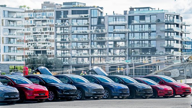 Tesla Model Y og Model 3 side om side på kaia i Oslo. Foto: Eirik Helland Urke