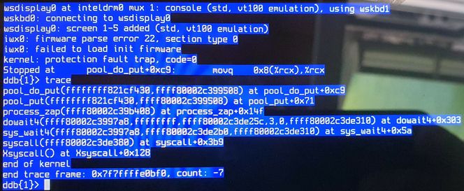 Kjernepanikk i OpenBSD. Skjermbilde: Peter Hansteen