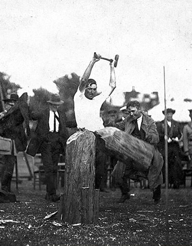 Gammel sport: På 1800-tallet arrangerte tømmerhuggere i Australia og New Zealand konkurranser ved å ned trær og sage dem opp. Foto:  Stihl