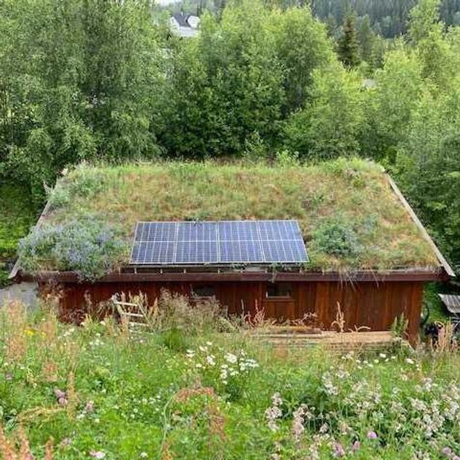 Små hytter klarer seg med åtte paneler, mener leverandøren. Foto: Miljøtak