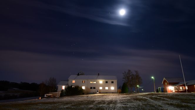 Jorun Kristin og Lars Hoems gård ligger på Byneset utenfor Trondheim. Driften er basert på kjøtt og melk fra storfe, kjøtt fra gris, korn, grønnsaker og strøm. Foto:  Bernhard Kvaal