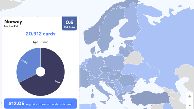 Data tilhørende nesten 21.000 norske betalingskort ligger på nett til en snittpris på 12 dollar. Foto: NordVPN