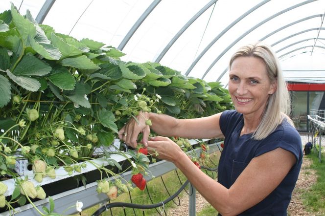 Roboten Thorvald må ha gode forhold under arbeid. Og det sørger planteforsker Siv Fagertun Remberg og teknikerne ved NMBU for at han har. Foto:  Janne Karin Brodin/NMBU