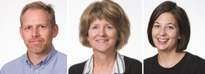 Skal havnenes grønne potensial utnyttes, må overordnede rammebetingelser, regelverk og politikk tillate sektoren å ta en annen rolle enn den historisk sett har hatt, mener Markus Steen, Sigrid Damman og Kristin Ystmark Bjerkan (t.h.) Foto: Sintef