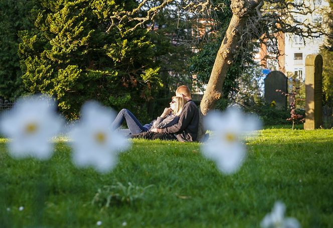 Assistens Kirkegård i København er blitt en populær park med sin egen nettside under kommunens fane Bruk byen. Niels Bohr og H.C. Andersen er blant de mange kjente og ukjente som er begravet her siden 1760, og på fine dager myldrer det av folk som går tur her, enten de skal besøke graver eller ikke. Foto:  News Øresund/Wikimedia Commons CC BY 2.0