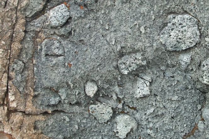 Dette berget stammer fra ett og samme vulkanutbrudd. Klumpene skyldes fragmentering under vulkanutbruddet. Foto: Bjørgunn Heggem Dalslåen/UiO