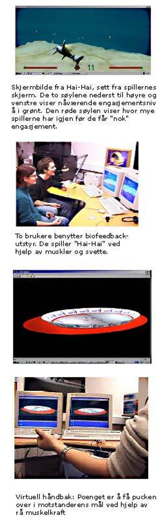 Bendik Bendiksens BioFeedback-spill. Foto: Octaga