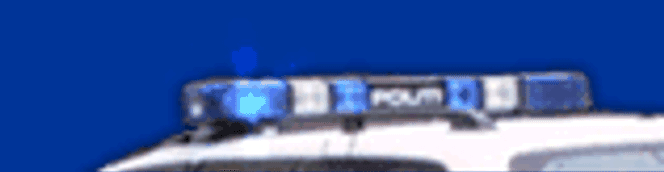 Politiet.net - del av topplogo på nettsiden. Faksimile:  Politiet.ne
