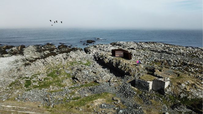 Hamningberg og nordre Varanger til et populært stoppested for trekkfugler og fuglekikkere Illustrasjon: Biotope