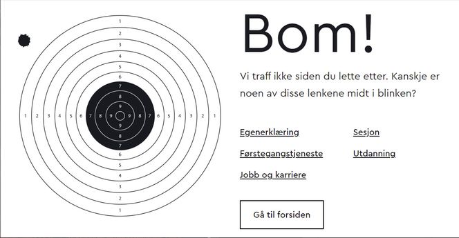 Skivebom, men med mulighet til å treffe blink hos Forsvaret. Faksimile: forsvaret.no
