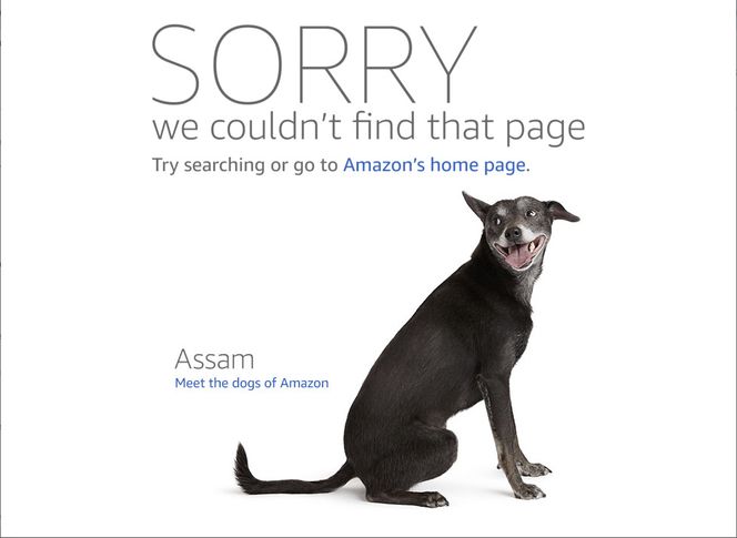Alle som er glade i hunder vil trives på 404-sidene til Amazon.com. Faksimile: amazon.com
