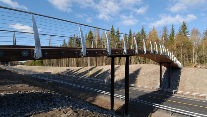 Søndre Tverrvei mellom Ås og Ski har i dag to slike trebruer. Nå skal Ås kommune bygge en til. Foto:  Jarle Skoglund