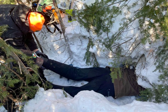 Forsker Todd Kautz ligger med halve kroppen inn i et bjørnehi for å ta en covid-test av en sovende svartbjørn. En kollega holder føttene hans for å kunne trekke ham raskt ut hvis bjørnen skulle våkne. Foto: AP