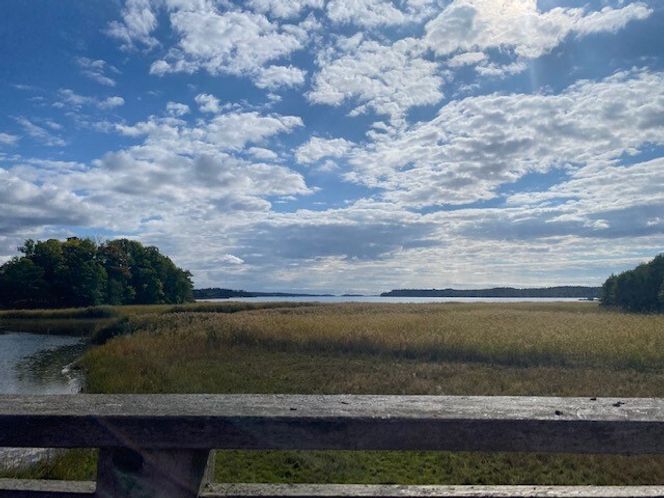 Tidevannssump utenfor Stockholm. Foto:  Rachel Tiller/Sintef