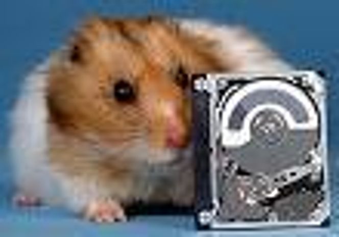 IBM Microdrive sammenlignet med en hamster. Foto: IBM