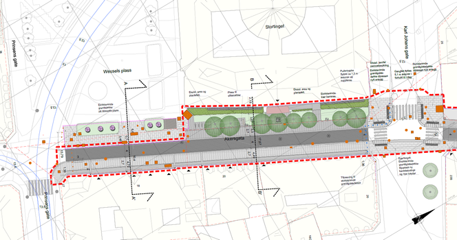 Prosjektet ønsker å bevare og bedre vekstvilkårene for de åtte hestekastanjene som står langs Stortingets østfasade. Fem av trærne er gamle, sannsynligvis fra slutten av 1800-tallet, mens tre trær ble plantet for cirka 20 år siden. Foto:  Bymiljøetaten, Oslo kommune