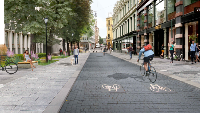 Stortingskvartalet skal bli åpent, romslig og lyst, selv om de gamle kastanjetrærne langs Stortingsbygningen bidrar til å skape skygge. Foto:  Bymiljøetaten, Oslo kommune