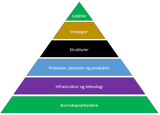 Basiselementene i en kunnskapsbasert organisasjon. Illustrasjon: Stefano A. Donati