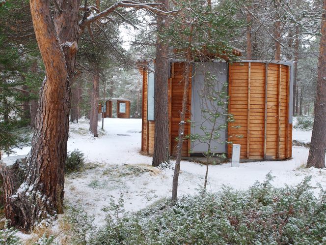 Liasanden rasteplass i furuskogen i Leirdalen (ved Bøverdalen i Lom), Nasjonal turistveg Sognefjellet. Arkitekt: Jensen & Skodvin. <span>Foto: Werner Harstad</span> Foto: Werner Harstad