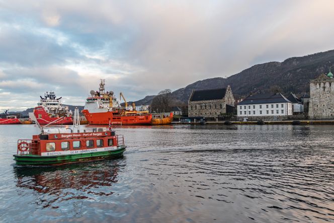 Nærings- og fiskeridepartementet har manglende overiskt over hvilke havner som har verdier som må beskyttes, mener Riksrevisjonen. Bildet viser Bergen havn. Foto: Marius Valle