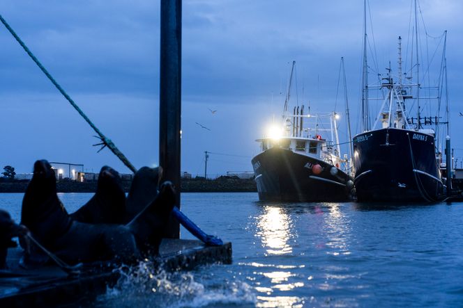 En filippinsk sjømann, Reyner Dagalea, har fortalt at han i månedsvis ble værende på fiskebåten Dayna S mens han ventet på lønn. Bildet er fra Westport i delstaten Washington og ble tatt i fjor. Foto: Lindsey Wasson/AP/NTB