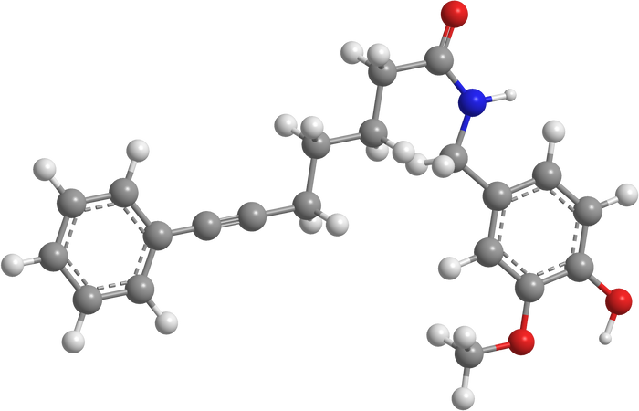 Slik ser molekylet døpt Fenylcapsaicin ut.