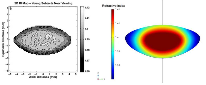 <strong>Figur 8:</strong> Venstre: Eksempel på en GRIN-linse målt med magnetisk resonansavbildning (MRI). Høyre: Parametrisk modell av GRIN-linsen.