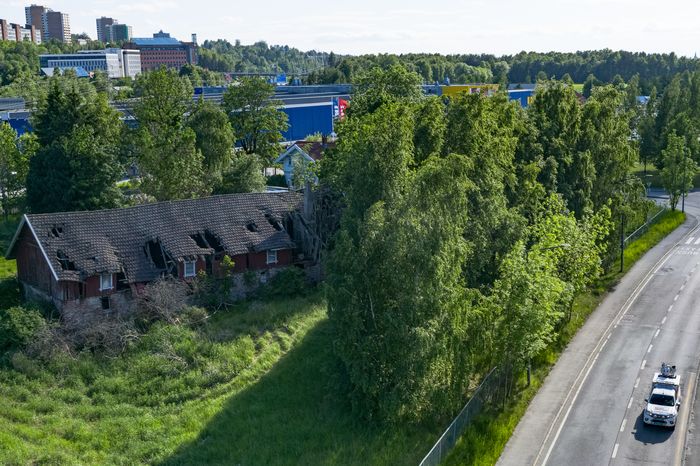 Sideterreng med tett vegetasjon hvor laserdronen sikrer god terrengmodell i bilens skyggeområder.