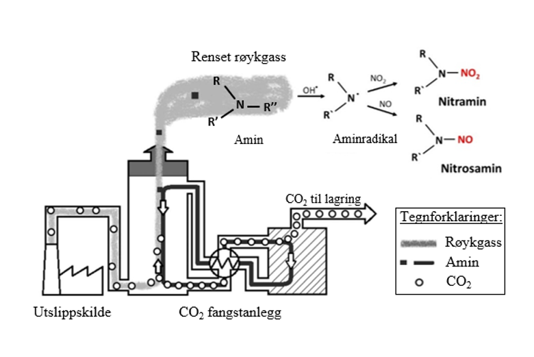 Utslipp fra CO2-fangstanlegg kan reagere kjemisk med andre stoffer i lufta slik at det dannes kreftfremkallende stoffer. Her ser vi en illustrasjon av CO<sub>2</sub>-fangstprosessen med atmosfærisk dannelse av nitrosaminer og nitraminer fra aminer. <i>Illustrasjon:  Cathrine Brecke Gundersen</i>
