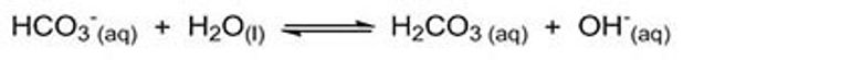Reaksjon 2a. Oppløst bikarbonat reagerer med vann. Det dannes karbonsyre og hydroksidioner. Sistnevnte gjør løsningen basisk.