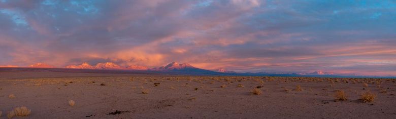 Atacama-ørkenen er et av verdens tørreste områder. <i>Foto:  Maria Luisa Lode</i>